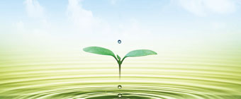 行業(yè)動態(tài)